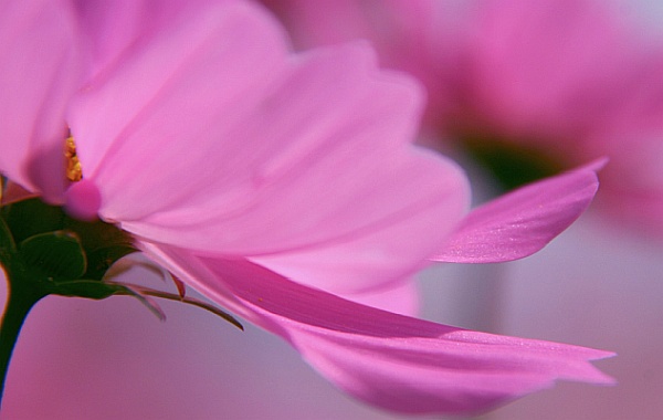Empower, Uplift and Love Empower, Uplift and Love