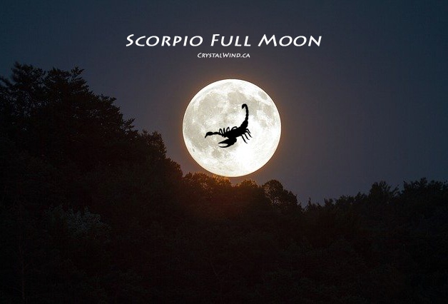 Scorpio FULL MOON Star Code Forecast