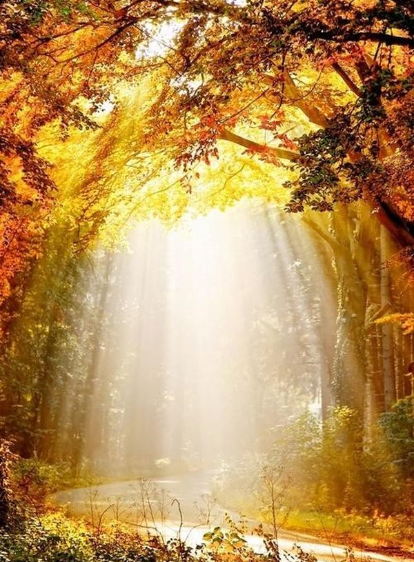 Happy October! - The Spiritual Definition of Wealth Happy October! - The Spiritual Definition of Wealth