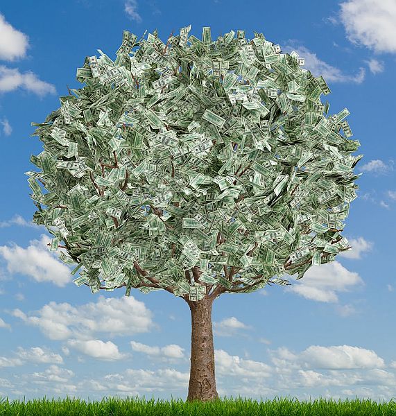 money-tree