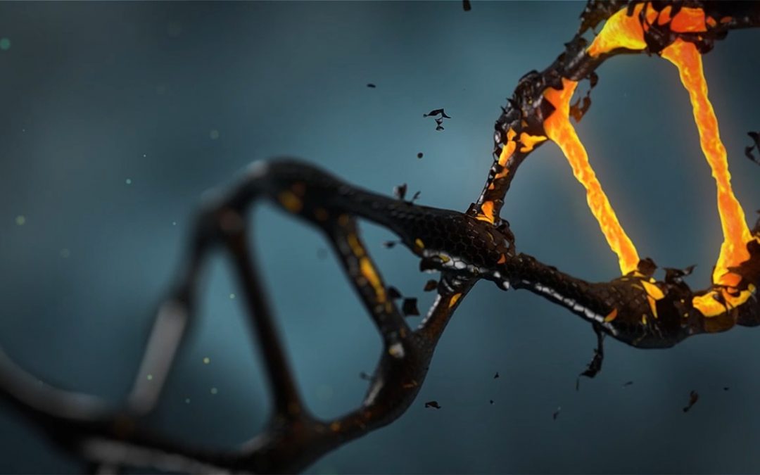 dna