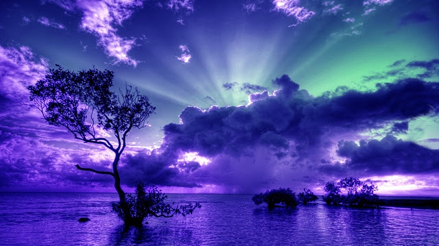purple-sky