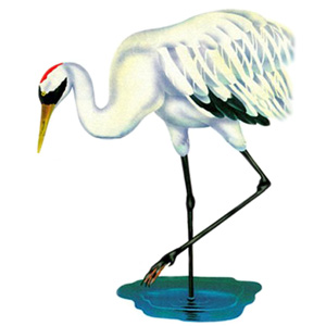 Crane