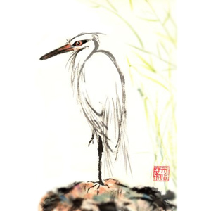 Heron