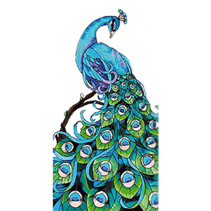 Peacock