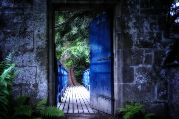 The Galactic Federation: Accessing Spiritual Abilities: Part 3: Clairvoyance The Galactic Federation: Accessing Spiritual Abilities: Part 3: Clairvoyance