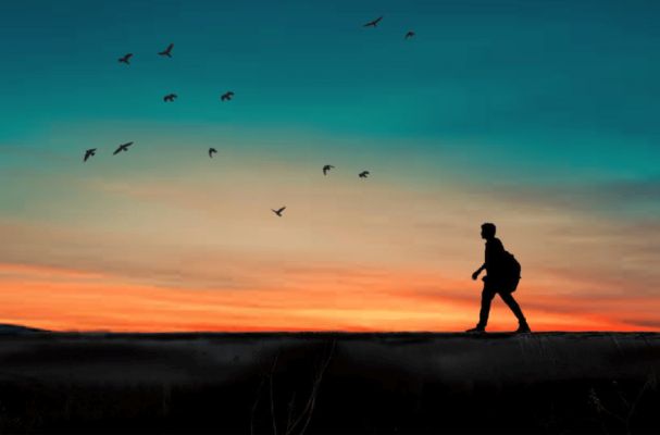 The Way of the Hero The Way of the Hero