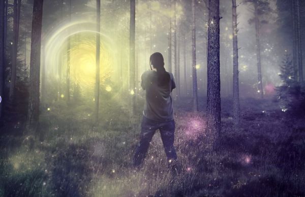 The Primordial Light and the Wild Man of the Jungle The Primordial Light and the Wild Man of the Jungle