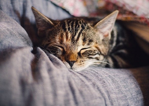 How To Fall Asleep In 60 Seconds: A Simple Breathing Exercise How To Fall Asleep In 60 Seconds: A Simple Breathing Exercise