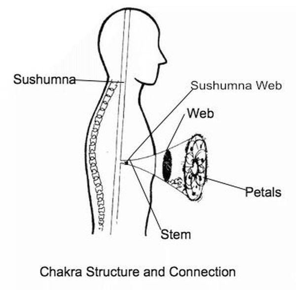 Unlock Your Chakras: Spotting and Fixing Blocked Energy!