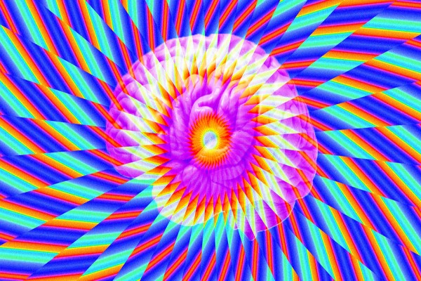 DMT DMT