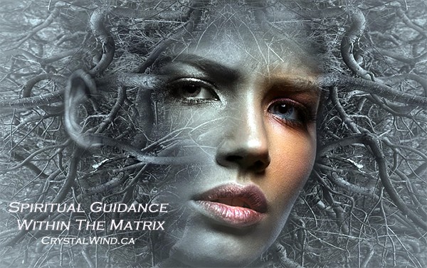 Spiritual Guidance Within The Matrix spirit guidance