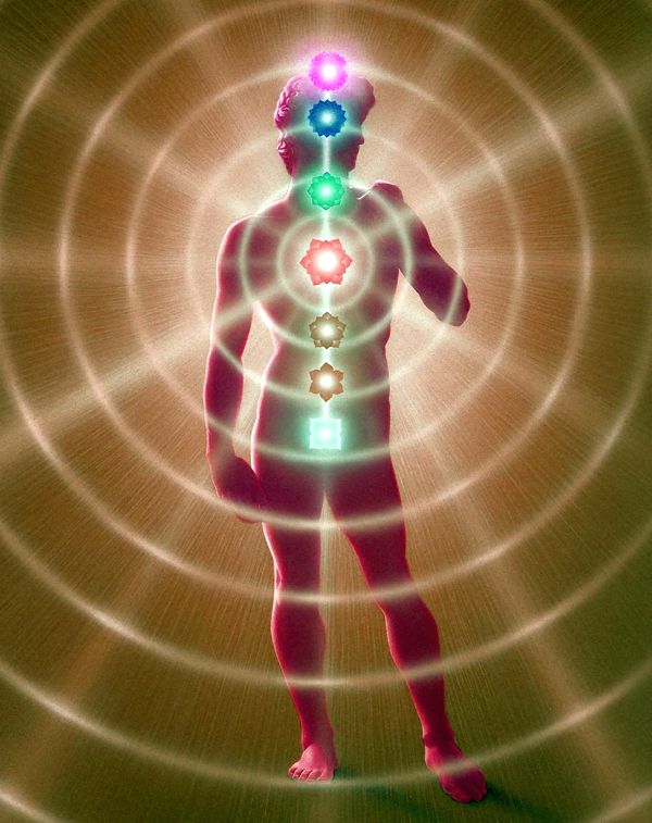 The Six Key Facts About The Chakras You Never Knew The Six Key Facts About The Chakras You Never Knew