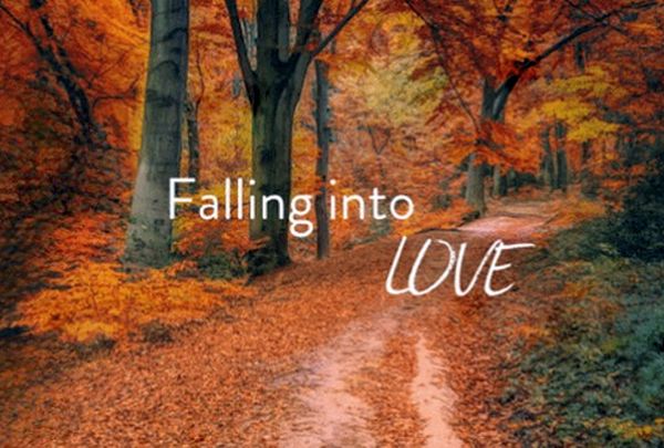 Falling Into Love Falling Into Love