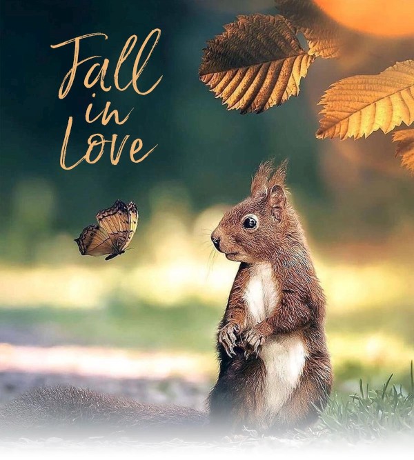 Fall in Love