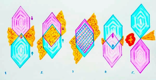 Membrane’s Cell Filters Work