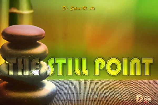 The Still Point The Still Point