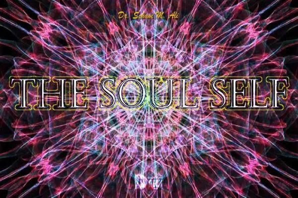 The Soul Self The Soul Self