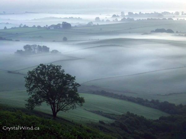 Mist of New Beginnings Mist of New Beginnings