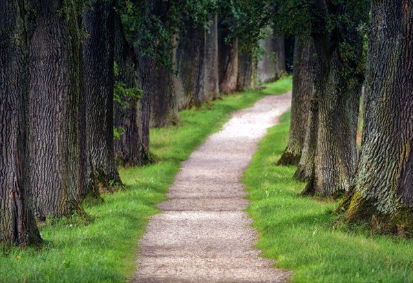 New Pathways of Completion New Pathways of Completion