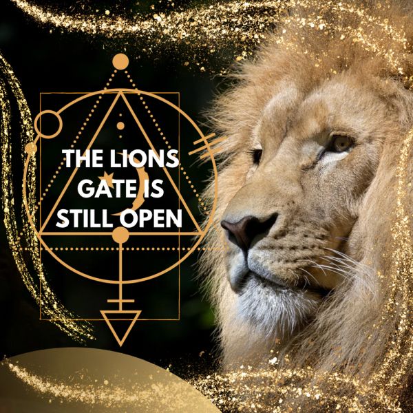 Twin Flame Ascension Report: Lions Gate Portal And The Evolution Of Humanity Twin Flame Ascension Report: The Lions Gate Is Still Open And Is Hugely Affecting Twin Flames