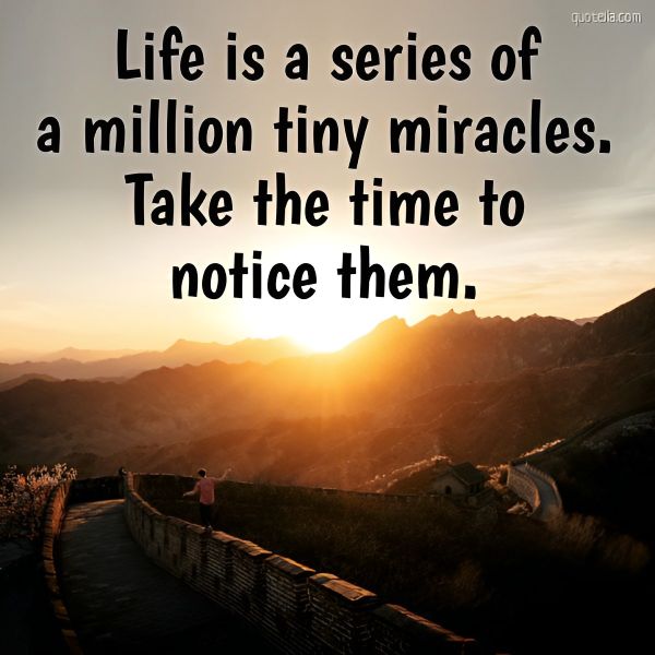 Life is a Series Life is a Series