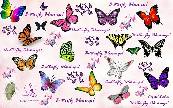 Druids And Butterflies Druids And Butterflies
