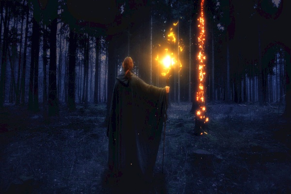 What does a Druid do? What does a Druid do?