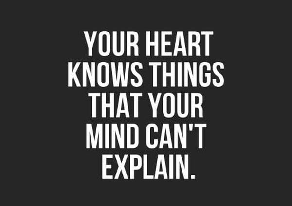 The Heart Knows The Way The Heart Knows The Way