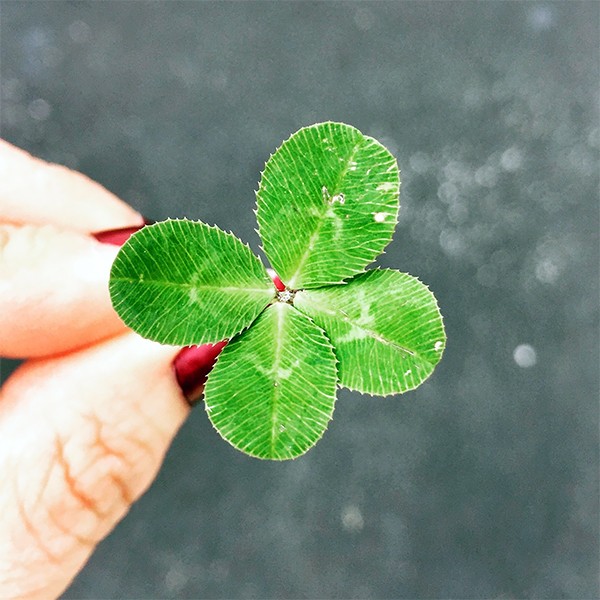 Lucky Charms: Celtic Secrets for Good Fortune! Lucky Charms: Celtic Secrets for Good Fortune!