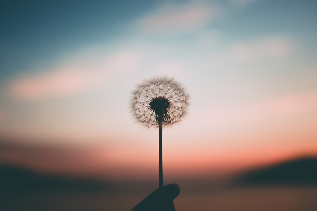 How to Reawaken Your Spirit and Connect with Nature photo