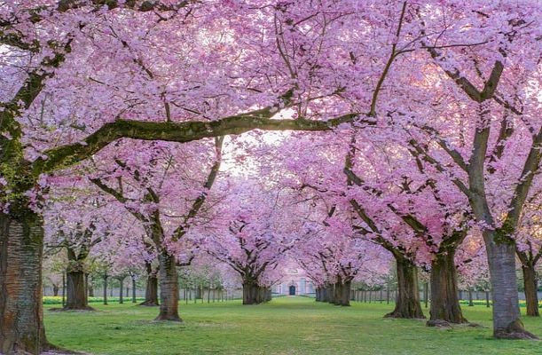 Pleiadian-Earth Energy Report - A Trinity Of Beginnings Pleiadian-Earth Energy Report - A Trinity Of Beginnings