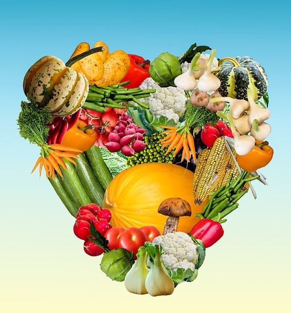 What Does “Organic” Mean? What Does “Organic” Mean?