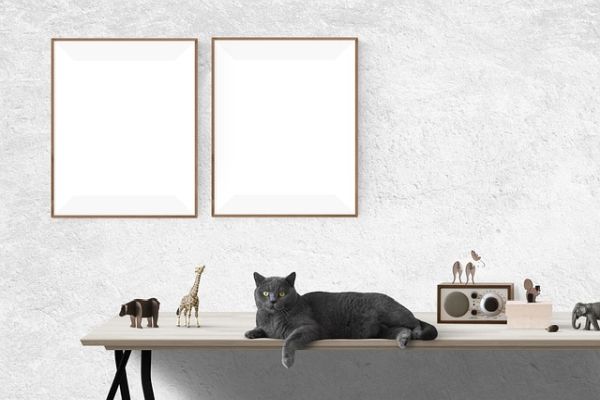 5 Unique Ways to Display Your Photos 5 Unique Ways to Display Your Photos