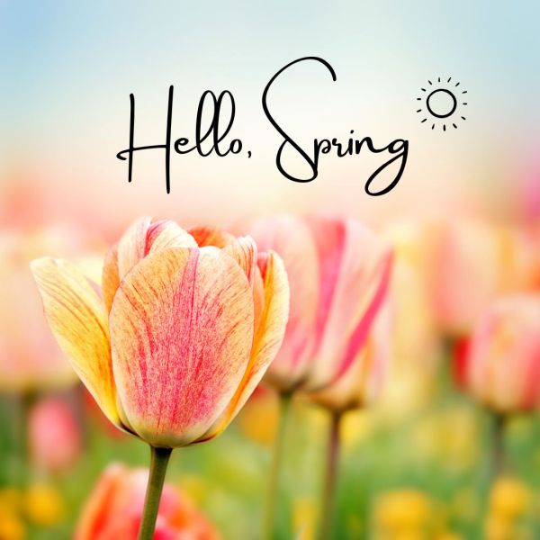 hello spring