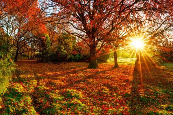 Channeled Message: Ascension Symptom Relief Channeled Message: Ascension Symptom Relief