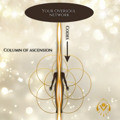 The Crystalline Divine Genome and The Oversoul Network The Crystalline Divine Genome and The Oversoul Network
