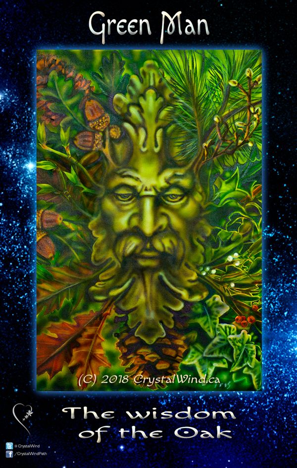 The Forest Speaks To Those Who Will Listen - Message from the Tree Consciousness