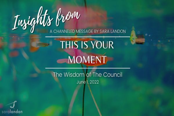 Insights from This Is Your Moment - Wisdom of the Council
