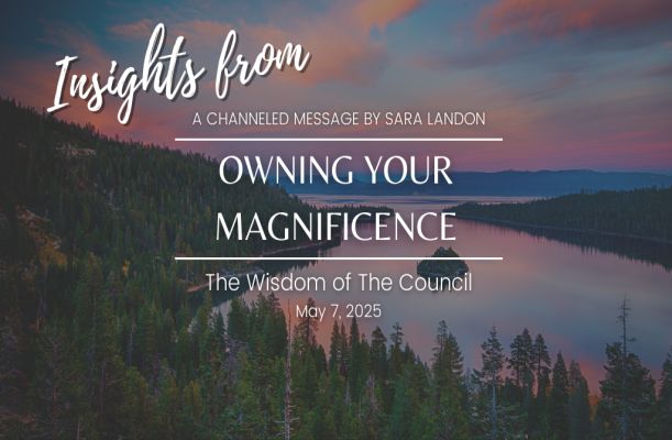 Insights from the Council: Embracing Your Magnificence Insights from the Council: Embracing Your Magnificence