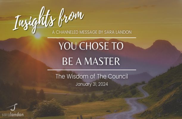 Insights from You Chose to Be a Master - Wisdom of the Council