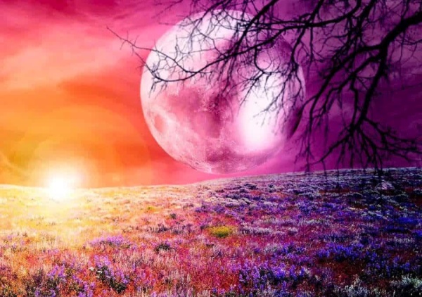 Enter Eclipse Portal May 26 Enter Eclipse Portal May 26
