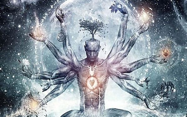 Evolutionary Pause