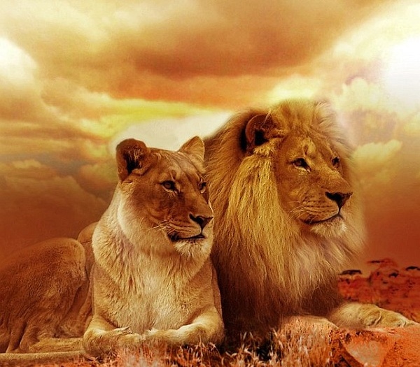 August 2020 Energy Update: The Time For Sleeping Is Over: The Arcturian Collective August 2020 Energy Update: The Time For Sleeping Is Over: The Arcturian Collective