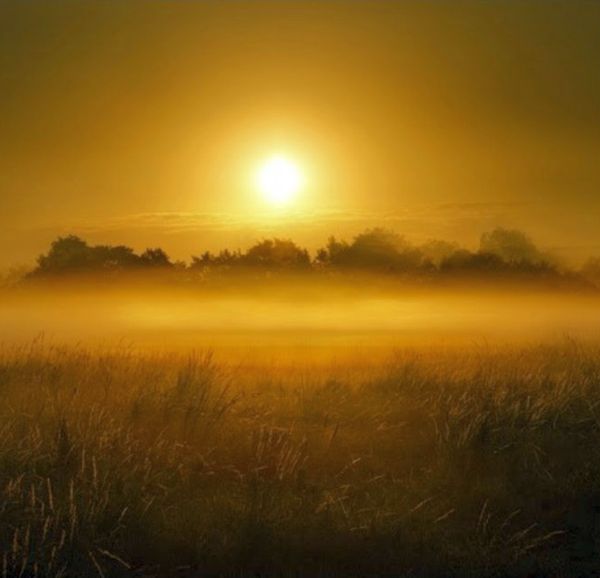 The Arcturian Collective: April-May 2022 Energy Update: Quantum & Christed Wealth The Arcturian Collective: April-May 2022 Energy Update: Quantum & Christed Wealth