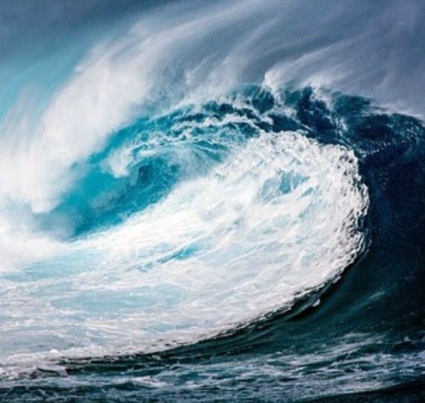 Arcturian Collective: Time for Oceans To Roar