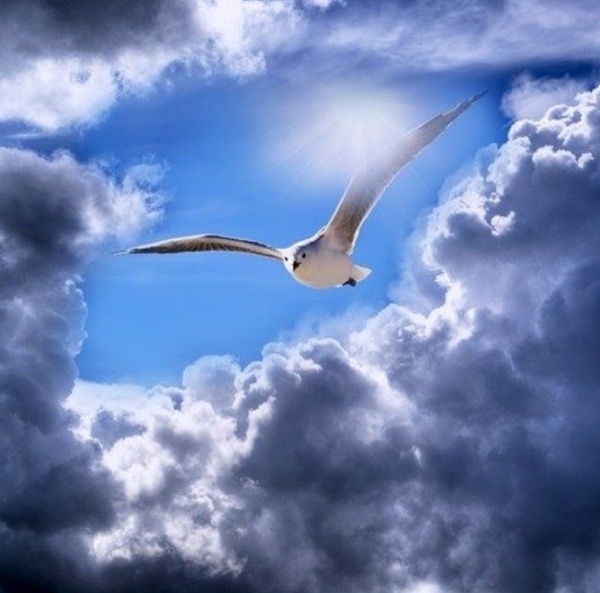 March 2021 Energy Update: Remember The Avatar You Are - The Arcturian Collective March 2021 Energy Update: Remember The Avatar You Are - The Arcturian Collective