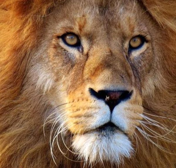 Arcturian Collective: August 2022 Energy Update -The Storm Is Here! Arcturian Collective: August 2022 Energy Update -The Storm Is Here!