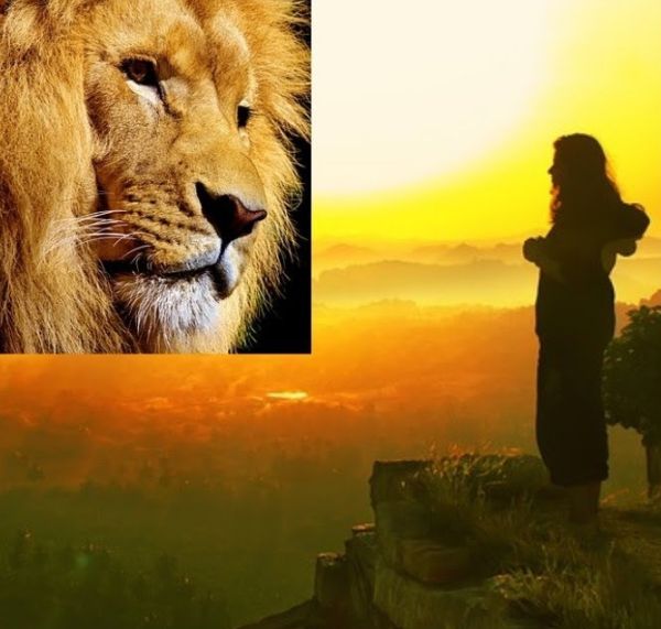 Arcturian Collective: The 8-8 Lion’s Gate