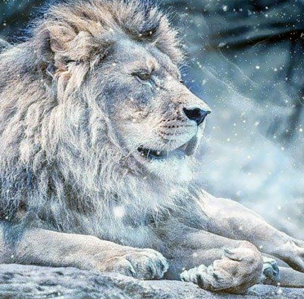 The Greatest Show on Earth, Epic Revelations & Illuminations: The Arcturian Collective The Greatest Show on Earth, Epic Revelations & Illuminations: The Arcturian Collective